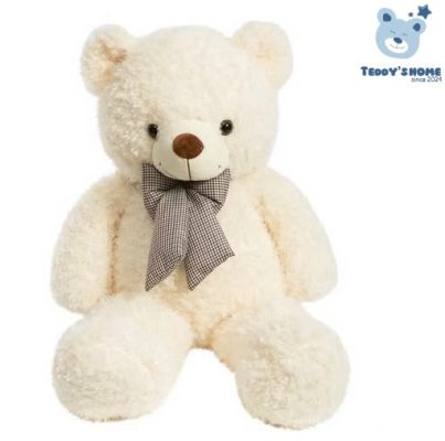 Gấu bông teddy