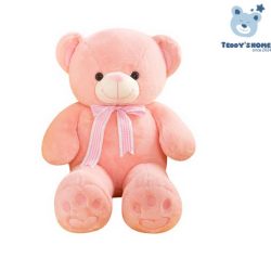 Gấu Bông Teddy Dễ Thương Xinh Xắn